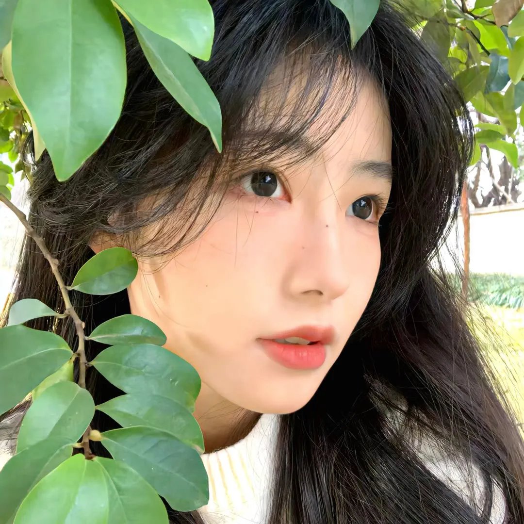 倒挂的爱丽丝